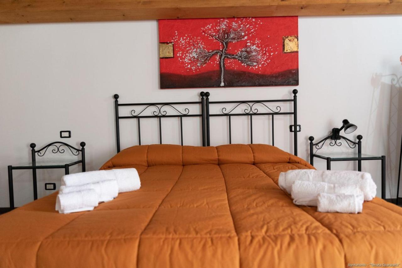 מודיקה Agriturismo Tenuta Sparaceto מראה חיצוני תמונה